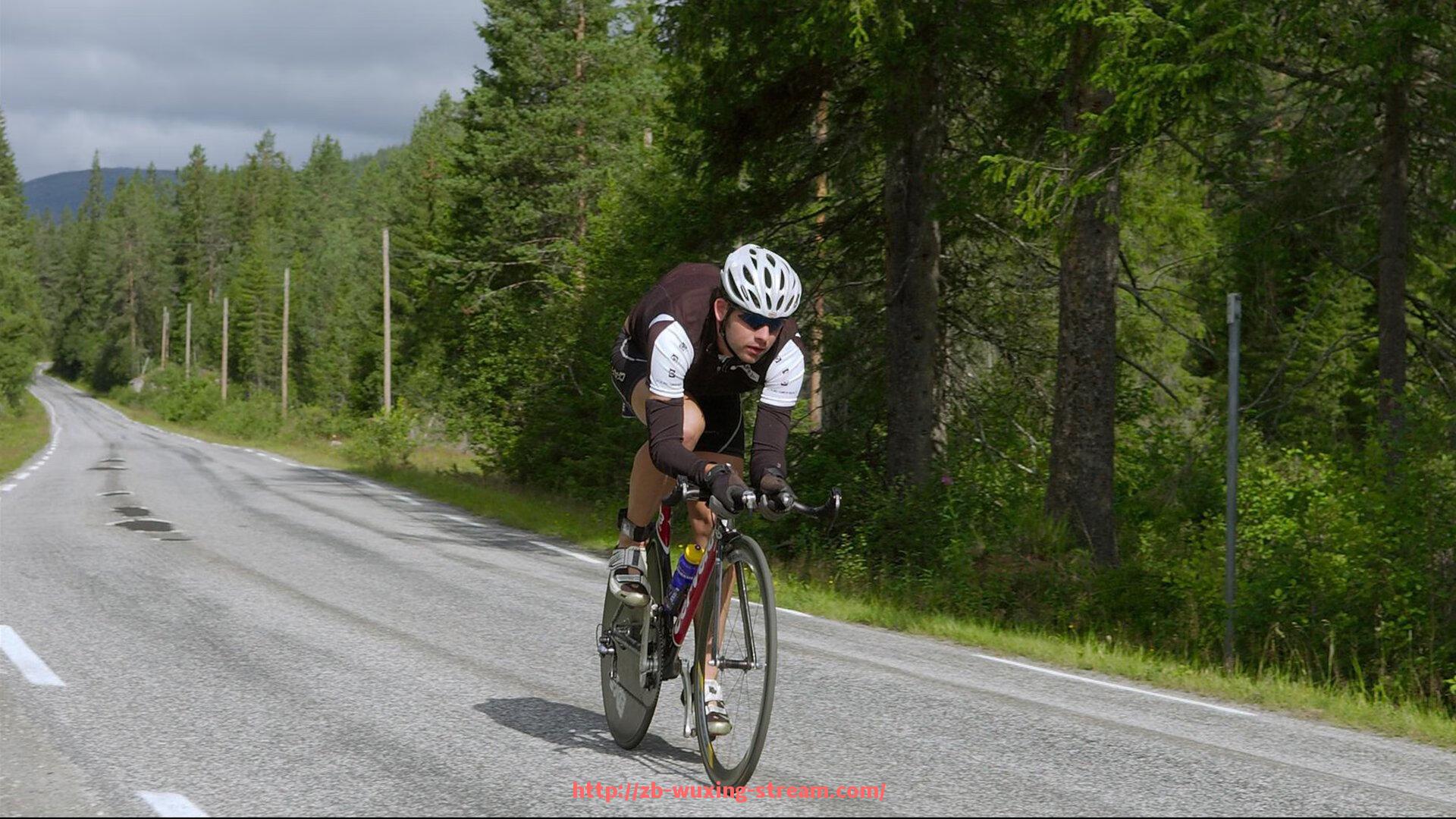 五星体育直播-巴萨欧冠连冠赛季战绩与核心球员分析